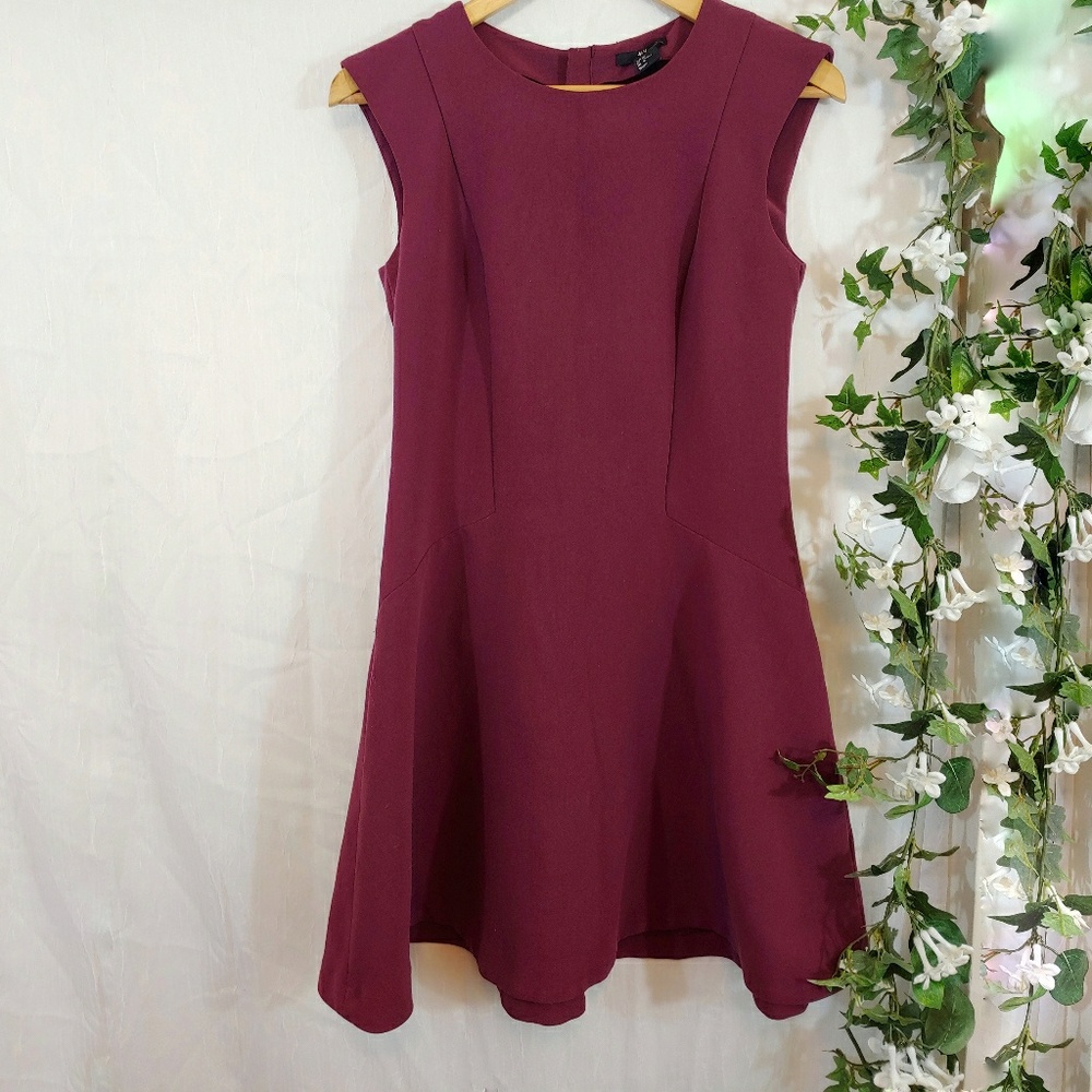 H&M Women's Burgundy Skater Dress SZ 10 (Fit 6)